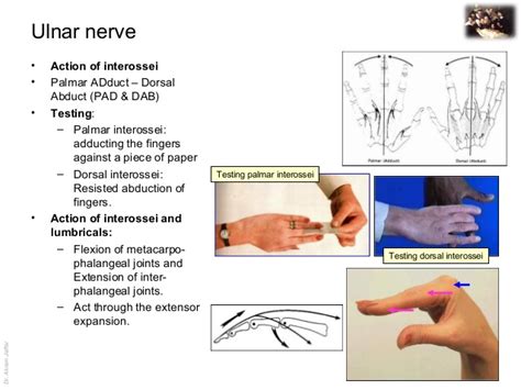 ulnar compression test|special tests for ulnar nerve.